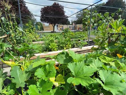 School Allotment