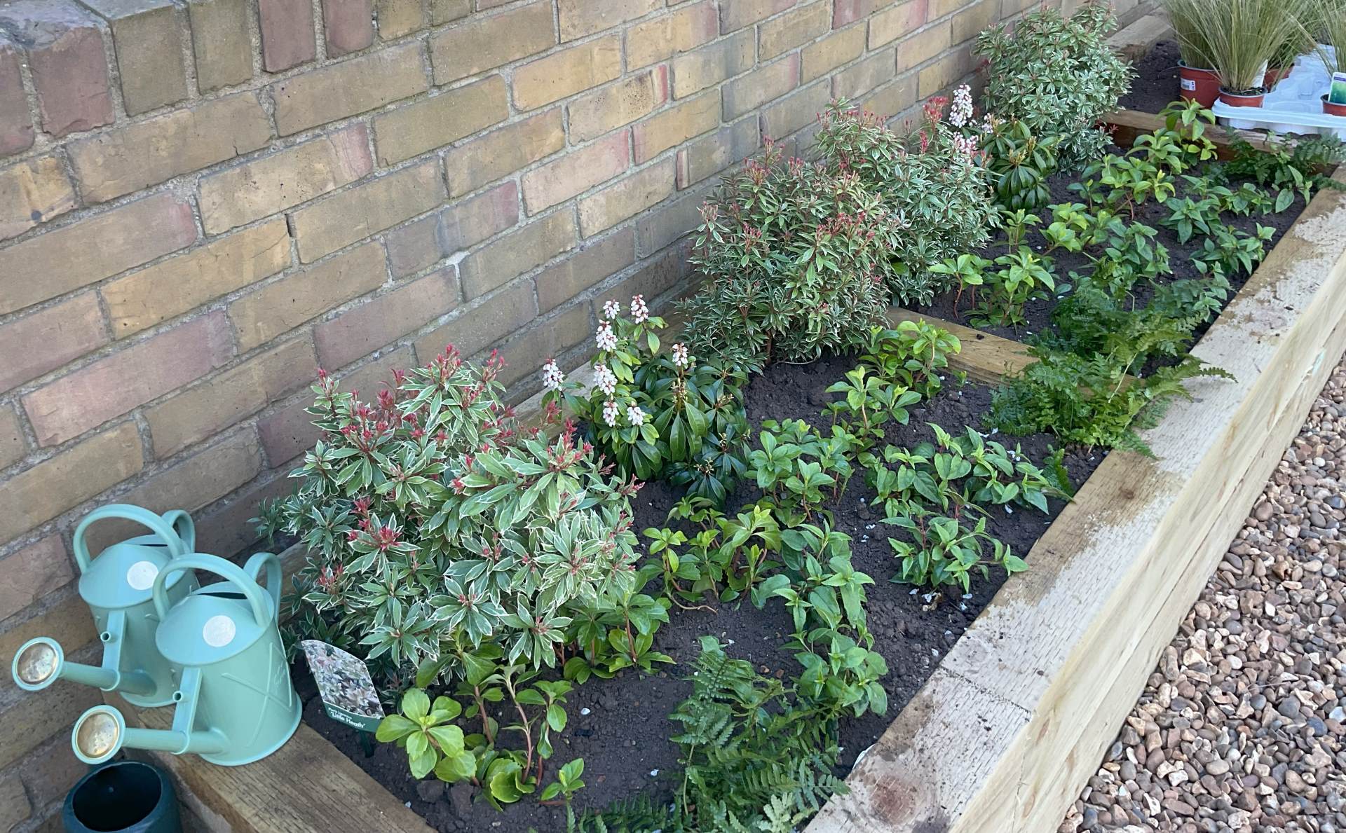 Planting Planting